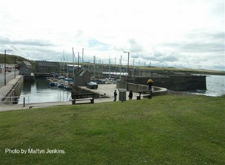 Whitehills Harbour from the shore to the North East.