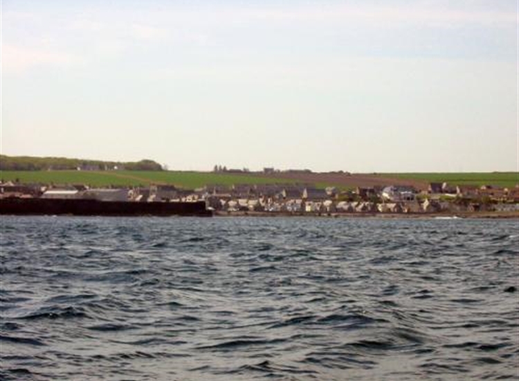 Whithills from the North