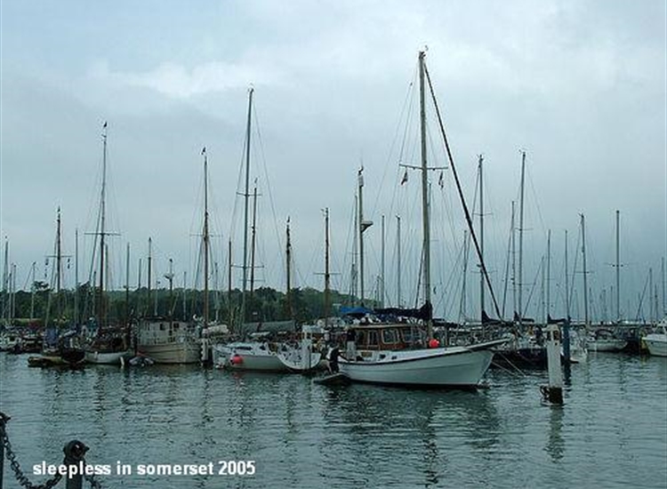 Pile Moorings by the South Quay