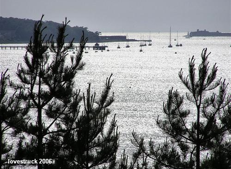 View from afar, showing the Pier, the overflow moorings outside, and Hurst Castle in the Background