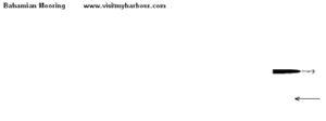 Bahamian Mooring