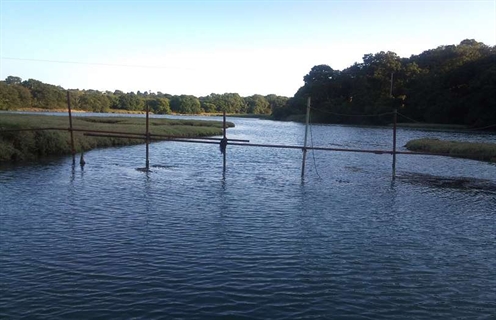 King's Quay Creek- who's blocking it ?  UPDATE Aug 2020
